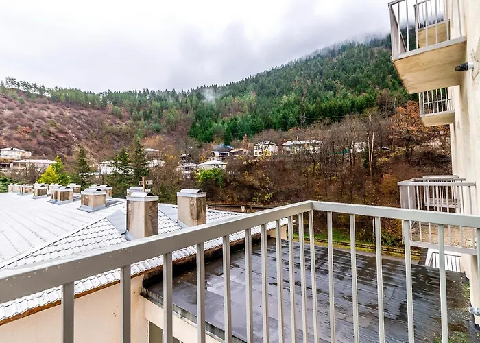 Borjomi Cozy Home